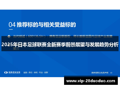 2025年日本足球联赛全新赛季前景展望与发展趋势分析