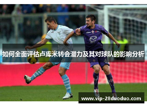如何全面评估卢库米转会潜力及其对球队的影响分析