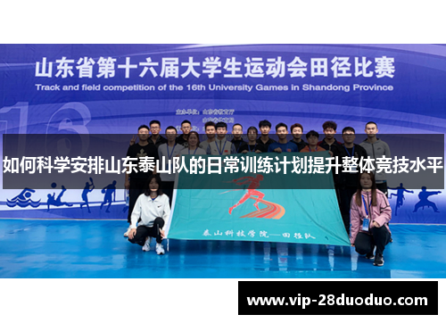 如何科学安排山东泰山队的日常训练计划提升整体竞技水平