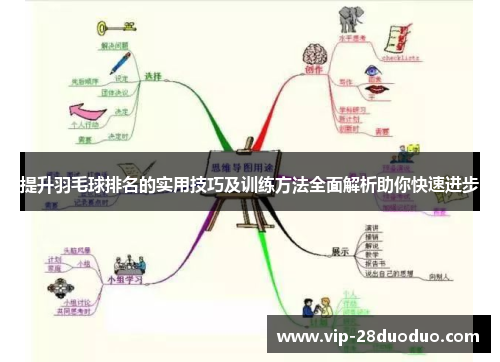 提升羽毛球排名的实用技巧及训练方法全面解析助你快速进步