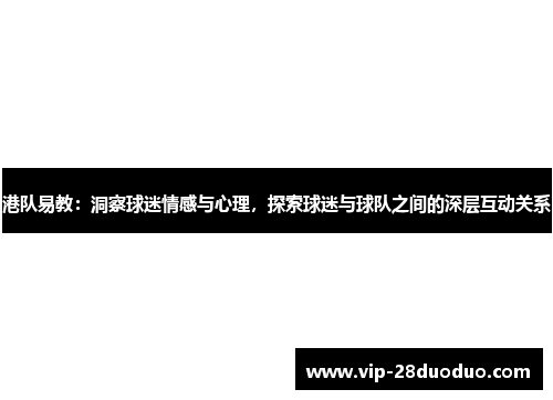 港队易教：洞察球迷情感与心理，探索球迷与球队之间的深层互动关系