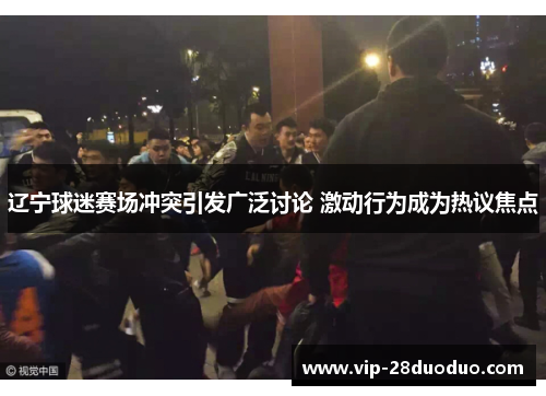 辽宁球迷赛场冲突引发广泛讨论 激动行为成为热议焦点