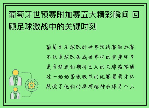 葡萄牙世预赛附加赛五大精彩瞬间 回顾足球激战中的关键时刻